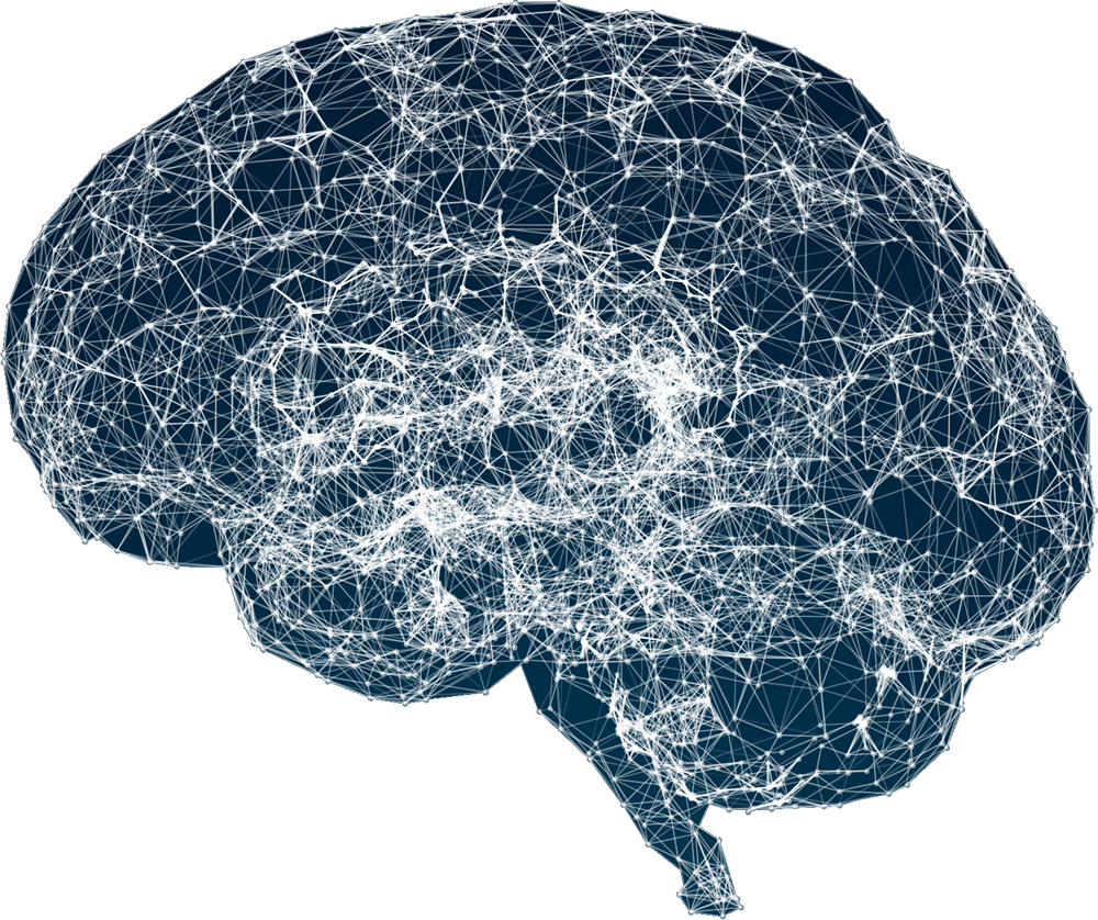 A digital representation of a human brain, resembling a neural network